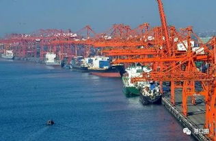 廈潮合建碼頭雛形初現(xiàn)，助力區(qū)域協(xié)同發(fā)展計(jì)劃明年上半年投用