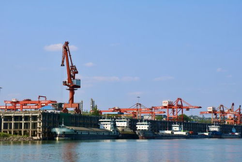 奮戰(zhàn)紅五月，瀘州水運(yùn)吹響發(fā)展進(jìn)軍號(hào) 碼頭建設(shè)與管理并舉，激活長江上游黃金水道